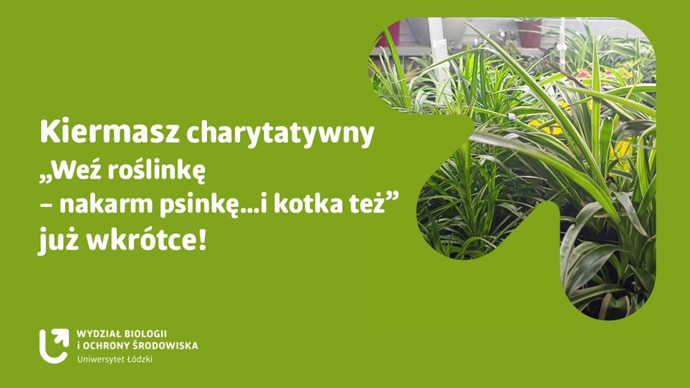 Grafika na kiermasz