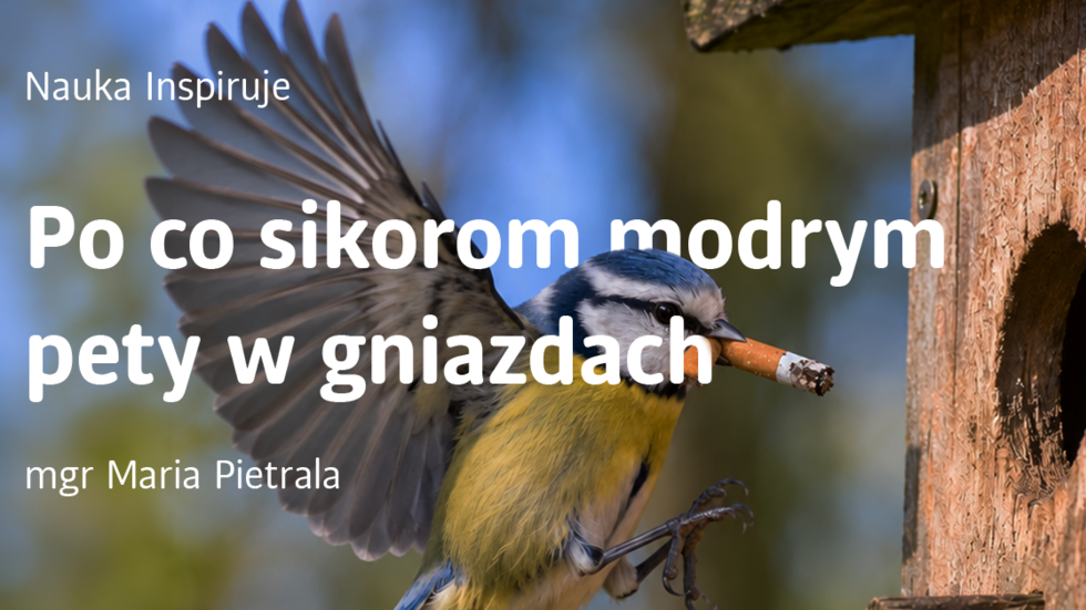 Baner z sikorką trzymającą w dziobie niedopałek papierosa